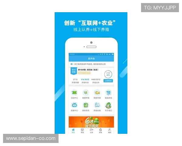 博鱼综合app常见故障排查与技术支持指南，保障你的游戏体验无忧